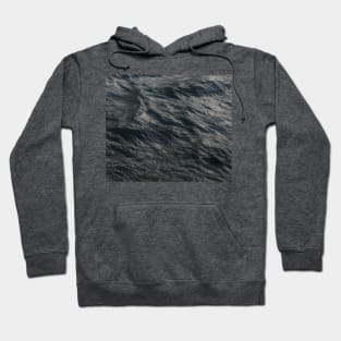 Oceans Hoodie